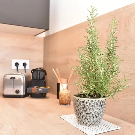 La Taulissa Apartament